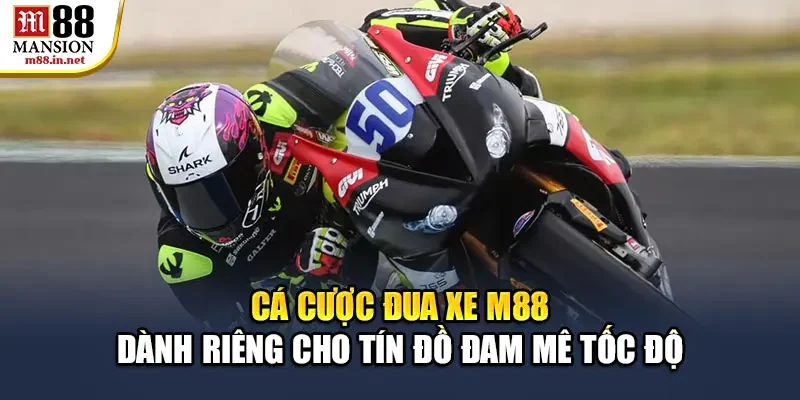 ca-cuoc-dua-xe-m88-danh-rieng-cho-tin-do-dam-me-toc-do