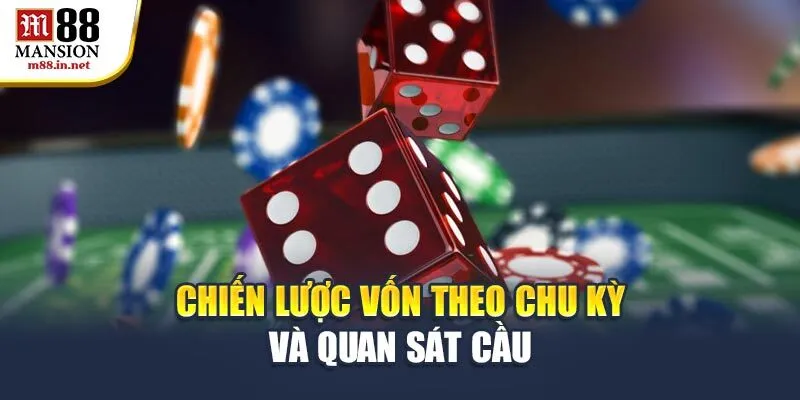 chien-luoc-von-theo-chu-ky-va-quan-sat-cau