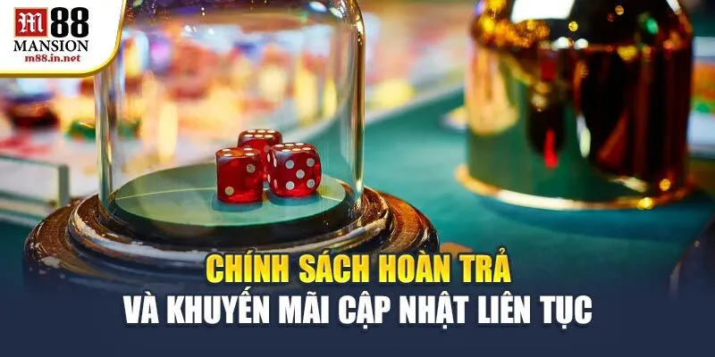 chinh-sach-hoan-tra-va-khuyen-mai-cap-nhat-lien-tuc