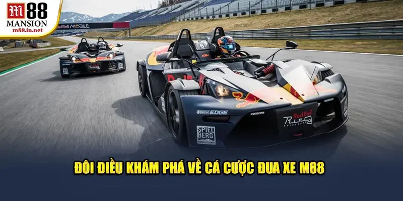 doi-dieu-kham-pha-ve-ca-cuoc-dua-xe-m88