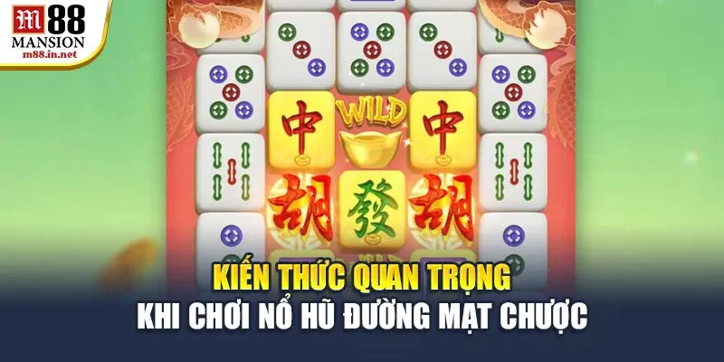 kien-thuc-quan-trong-khi-choi-no-hu-duong-mat-chuoc
