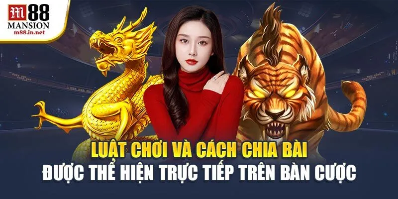 luat-choi-va-cach-chia-bai-duoc-the-hien-truc-tiep-tren-ban-cuoc