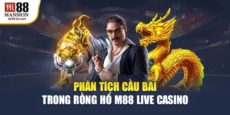 phan-tich-cau-bai-trong-rong-ho-m88-live-casino