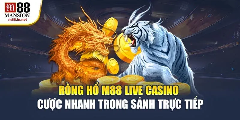 rong-ho-m88-live-casino-cuoc-nhanh-trong-sanh-truc-tiep