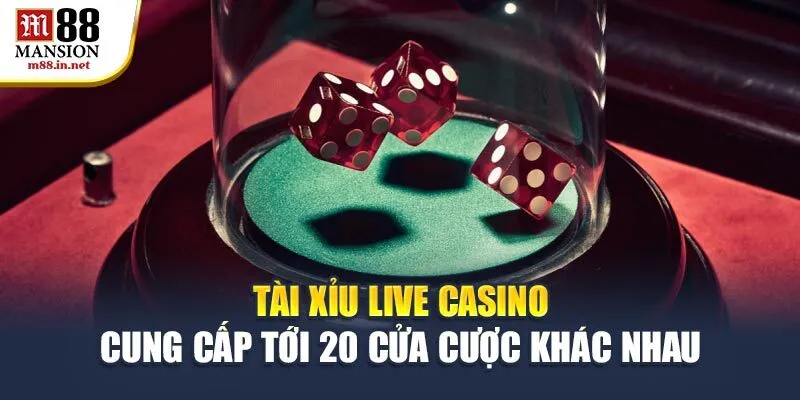 tai-xiu-live-casino-cung-cap-toi-20-cua-cuoc-khac-nhau