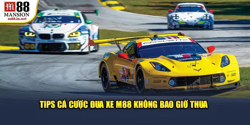 tips-ca-cuoc-dua-xe-m88-khong-bao-gio-thua
